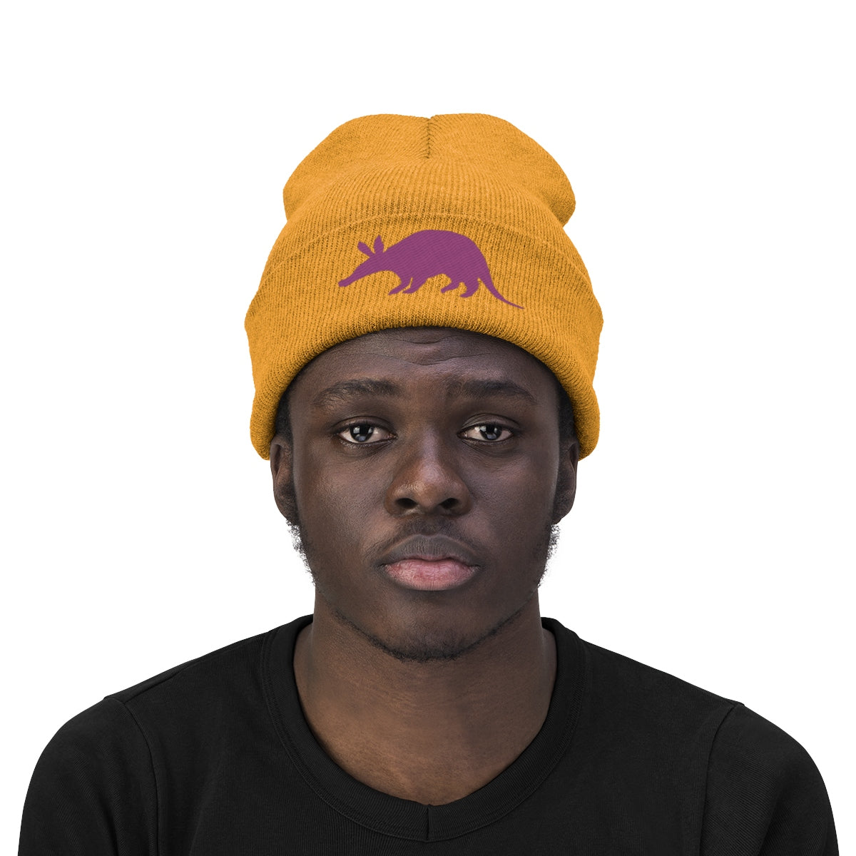 Aardvark Official - Embroidered Beanie - Aardvark Tees - Tees that Please