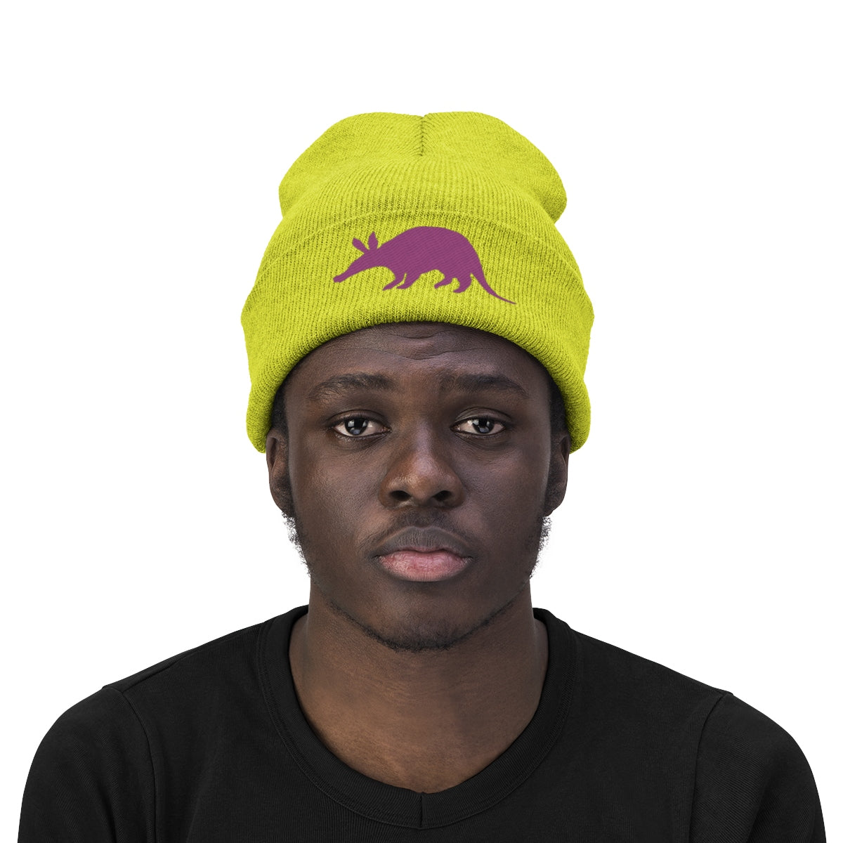 Aardvark Official - Embroidered Beanie - Aardvark Tees - Tees that Please