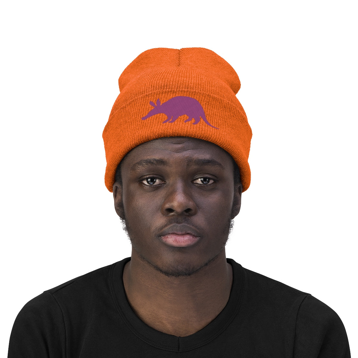 Aardvark Official - Embroidered Beanie - Aardvark Tees - Tees that Please