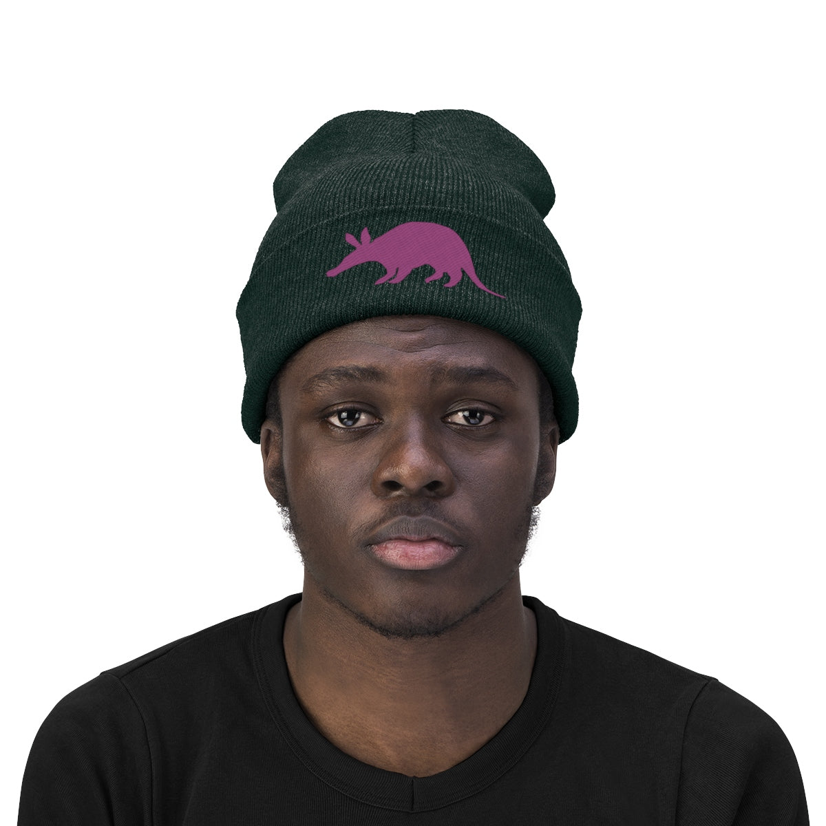 Aardvark Official - Embroidered Beanie - Aardvark Tees - Tees that Please