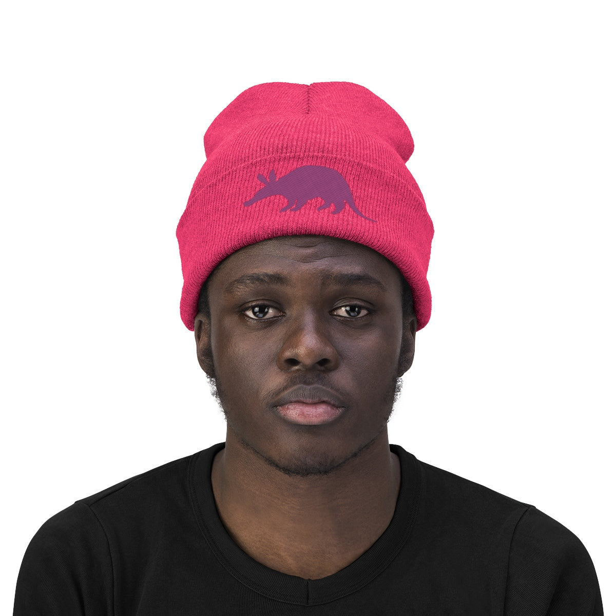 Aardvark Official - Embroidered Beanie - Aardvark Tees - Tees that Please